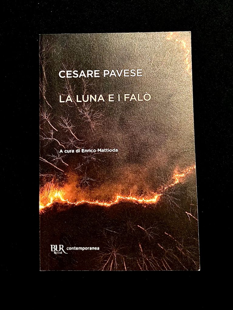 La letteratura, uno scudo contro le offese della vita