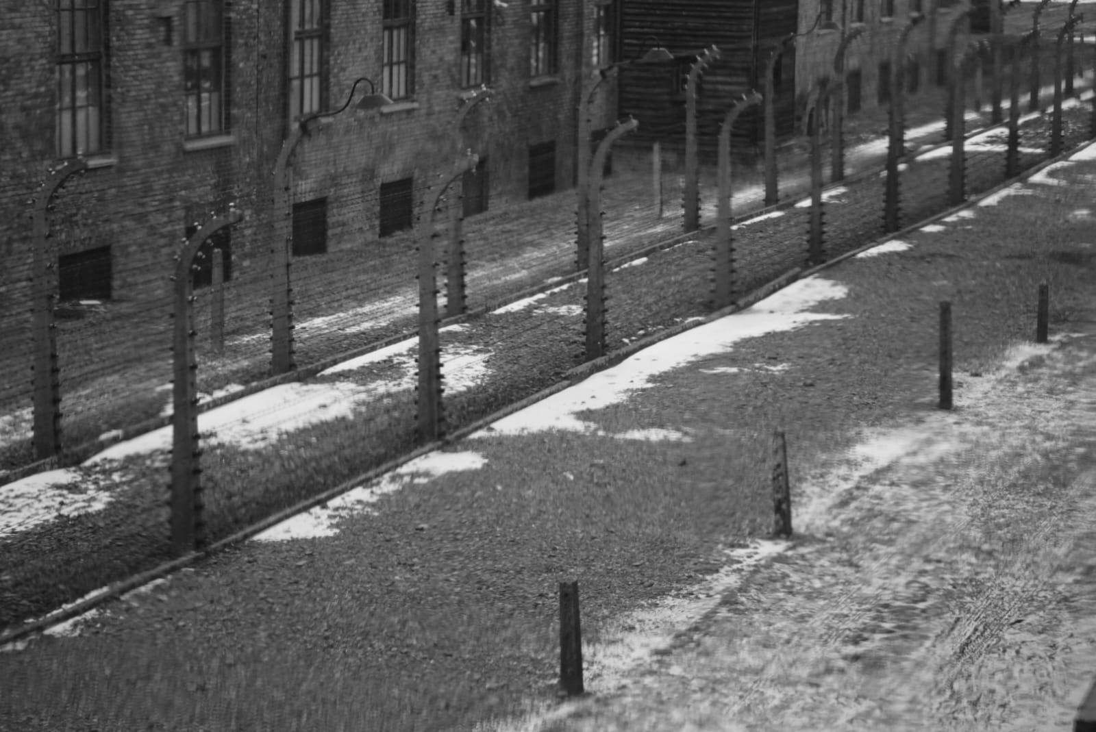 “Promemoria Auschwitz”